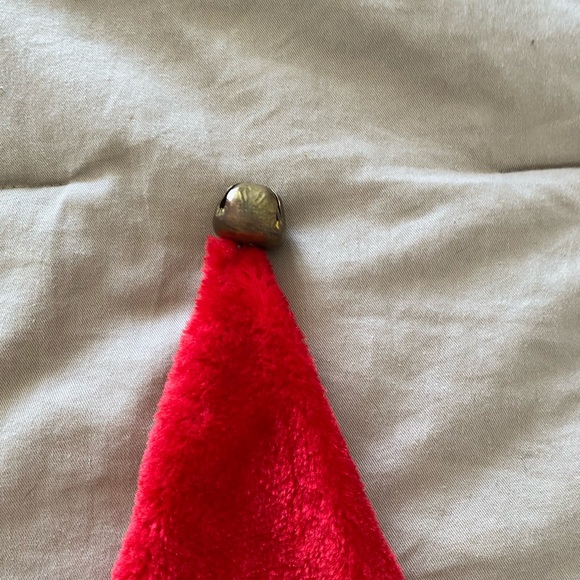 ⭐️🌴Santa Hat - Picture 2 of 3